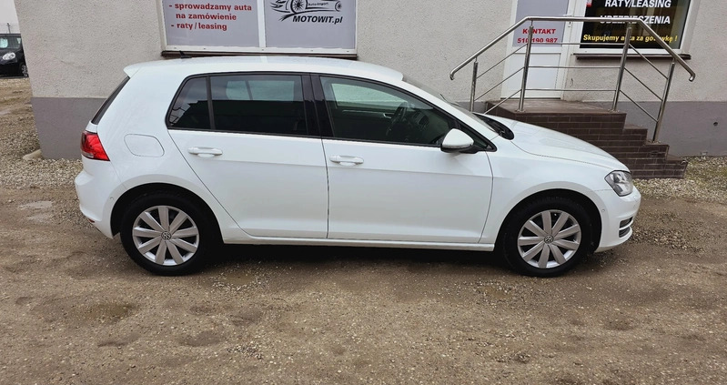 Volkswagen Golf cena 29990 przebieg: 250000, rok produkcji 2013 z Susz małe 211